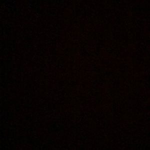 Meet your Posher, Layla